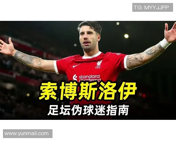 索博斯洛伊的历史魅力与文化传承探秘之旅